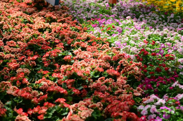 Guide Ultime : Comment Transporter votre Lit King Size Sans le Démonter en Toute Sécurité !