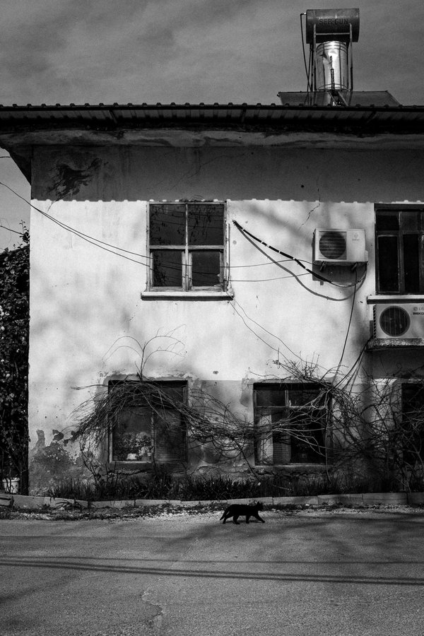 Revendeur de climatisation et cheminées : offrez-vous le confort